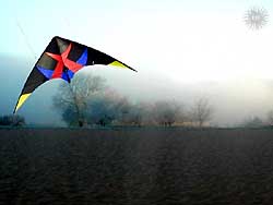 pluto lenkdrachen in frankreich, chablis