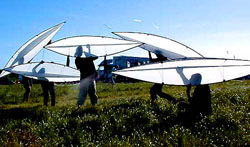 kite sentinel cerf-volant panorama performance tomkite drachensyndikat