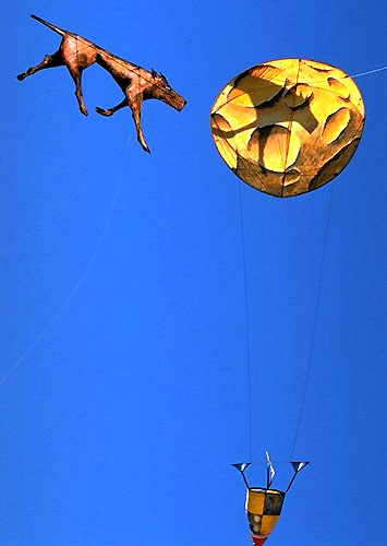 dog-kite and "yellow moon" robert trepanier, kisa.